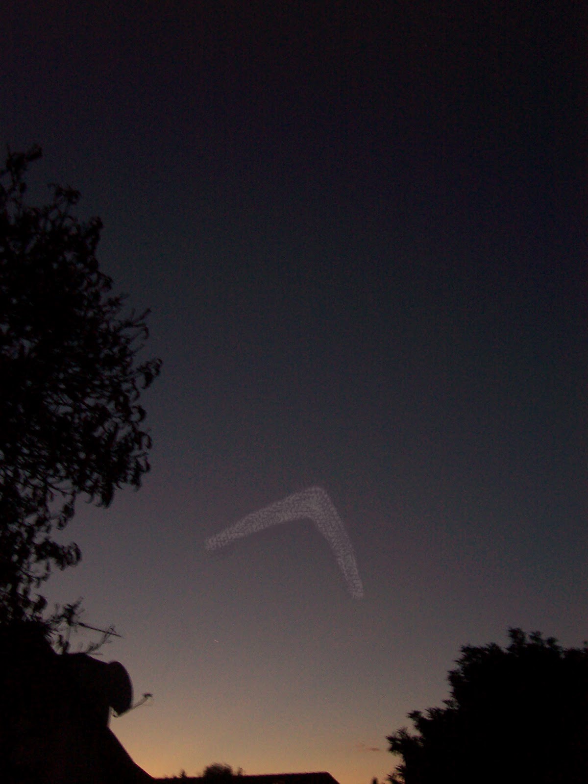 Silent, dark chevron-shaped object flew over us and faded from view