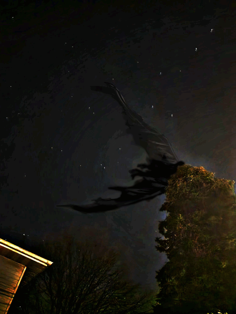 Object moving overhead in the shape of a boomerang/triangle