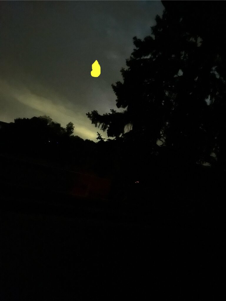 Glowing yellow raindrop-shaped object with odd dent hovered silently near tree at night in Bavaria.